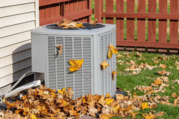 Best Furnace Cleaning in Willacoochee, GA